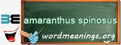WordMeaning blackboard for amaranthus spinosus